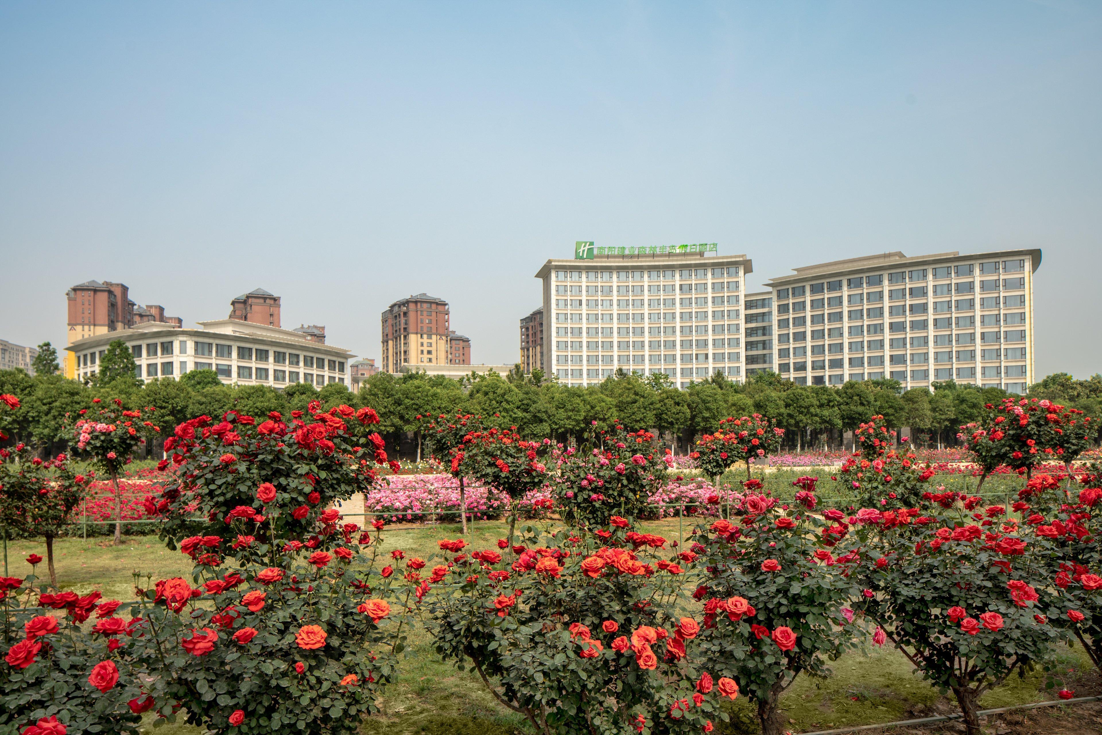 Holiday Inn Nanyang By Ihg Exteriér fotografie