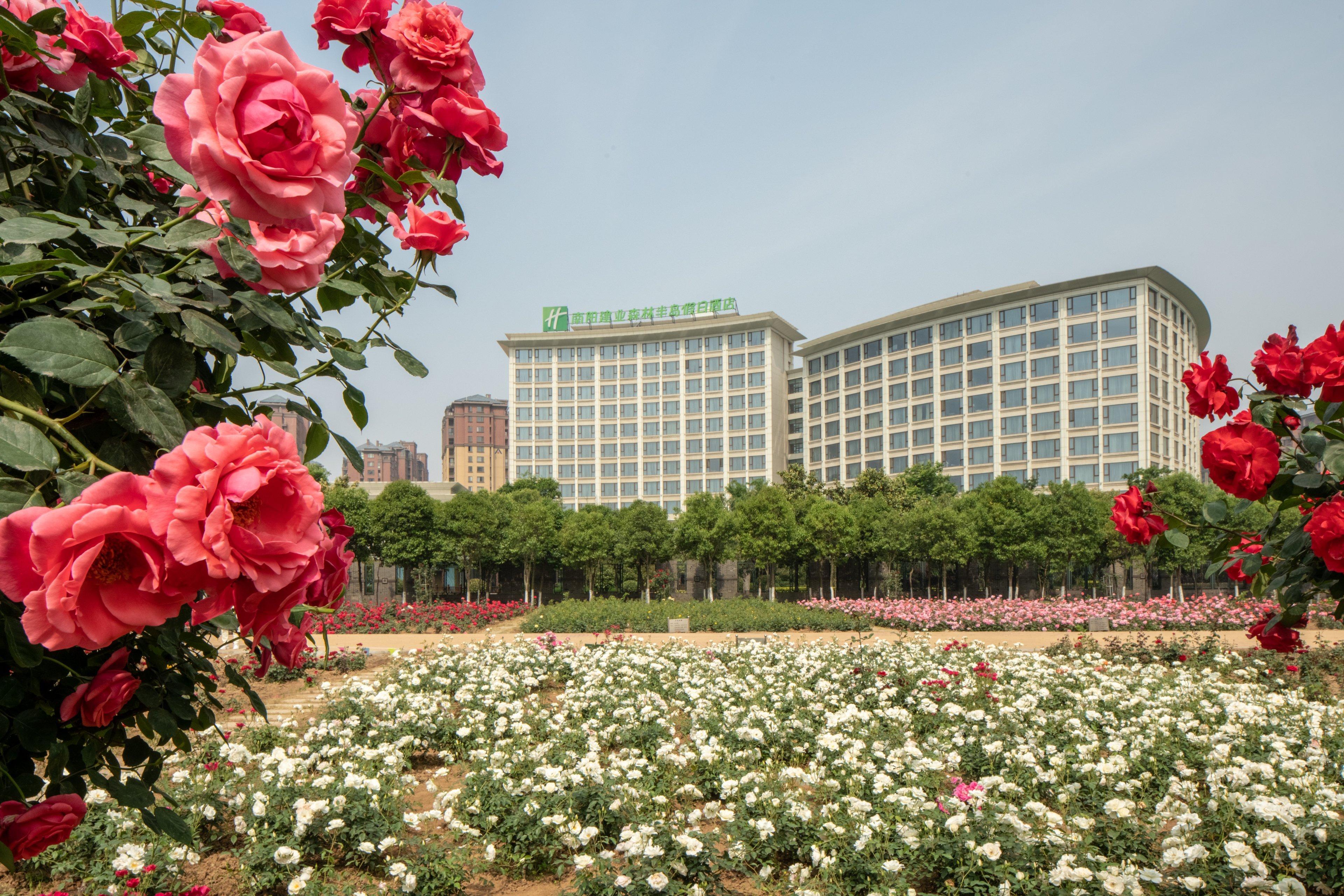 Holiday Inn Nanyang By Ihg Exteriér fotografie